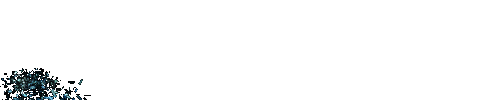 logo chrono.gif (130307 bytes)